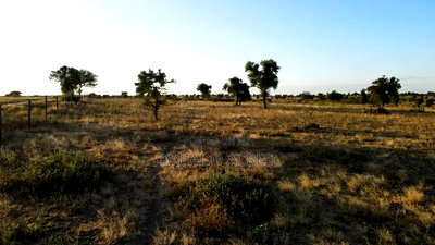 Prime Fenced 38 Acres Sajiloni at 1.5m Per Acre - Image 5