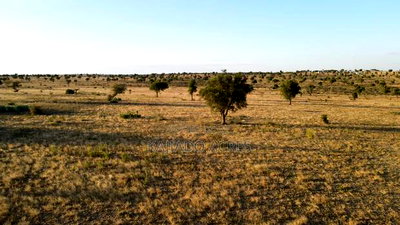 Prime Fenced 38 Acres Sajiloni at 1.5m Per Acre - Image 8