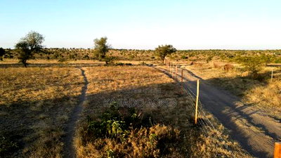 Prime Fenced 38 Acres Sajiloni at 1.5m Per Acre - Image 1