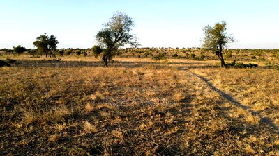 Prime Fenced 38 Acres Sajiloni at 1.5m Per Acre - Image 9