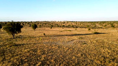 Prime Fenced 38 Acres Sajiloni at 1.5m Per Acre - Image 2