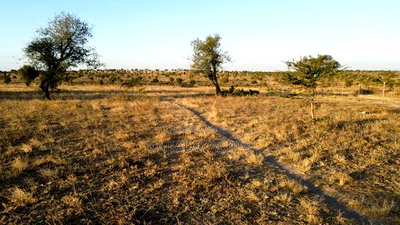 Prime Fenced 38 Acres Sajiloni at 1.5m Per Acre - Image 4