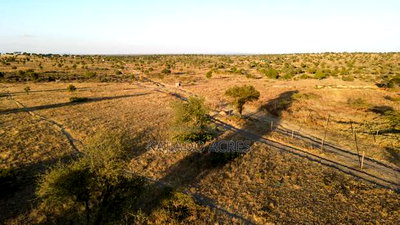 Prime Fenced 38 Acres Sajiloni at 1.5m Per Acre - Image 3