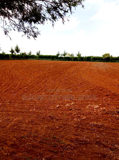 1.5 Acres Kuinet Ideal for Residential - Image 2