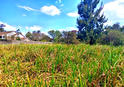 3/4 Acre Plot with Garden in Kasarani
