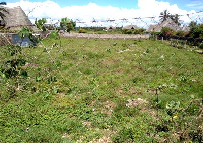 Half Acre Commercial Plot in Watamu for KSh 10M