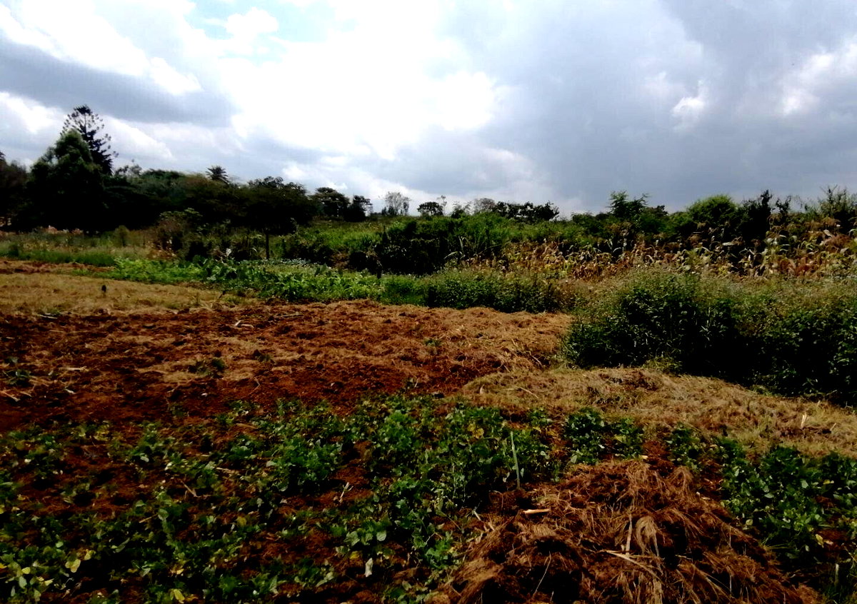 Half Acre Plot in Runda at KSh 60M