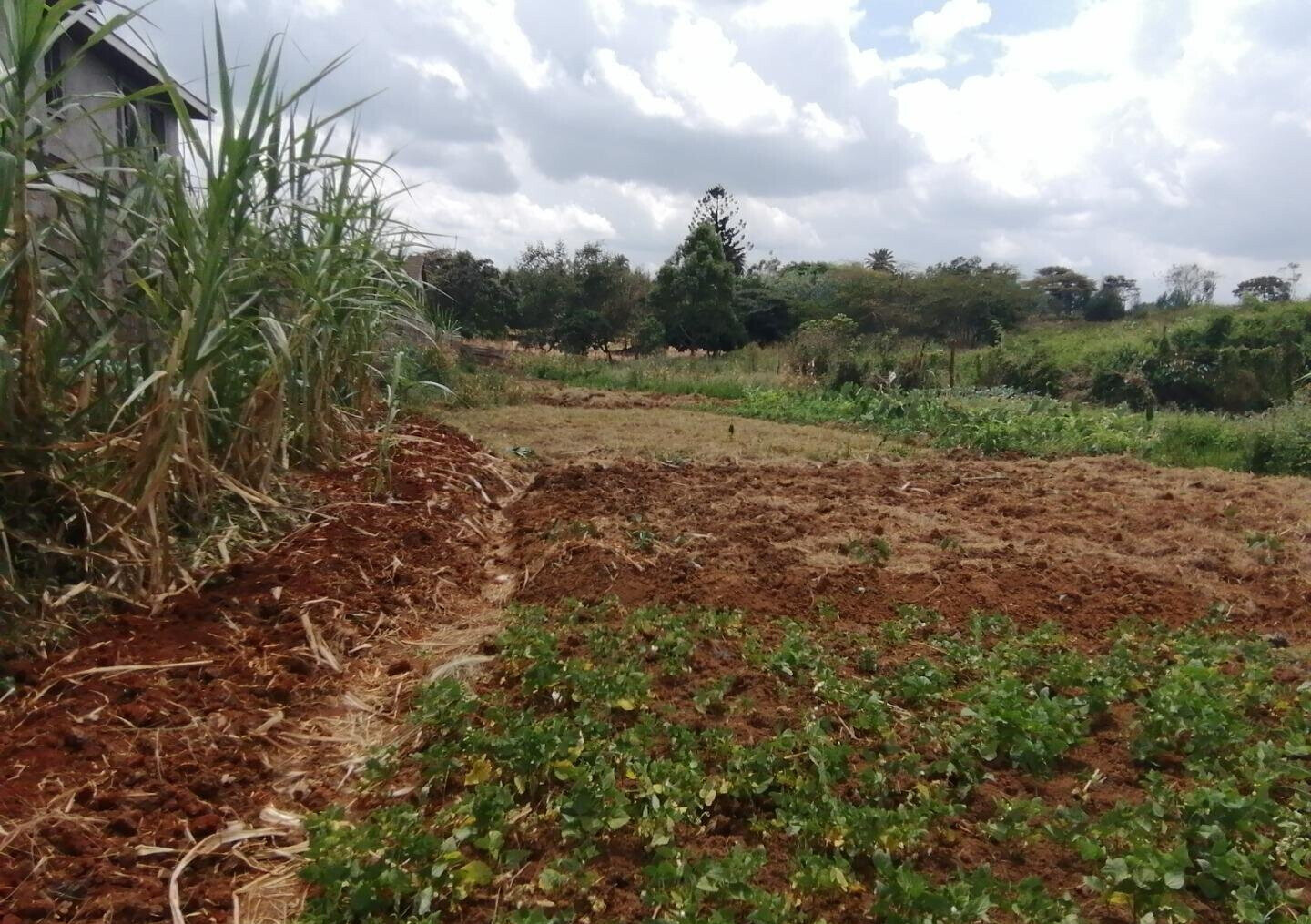 Half Acre Plot in Runda at KSh 60M