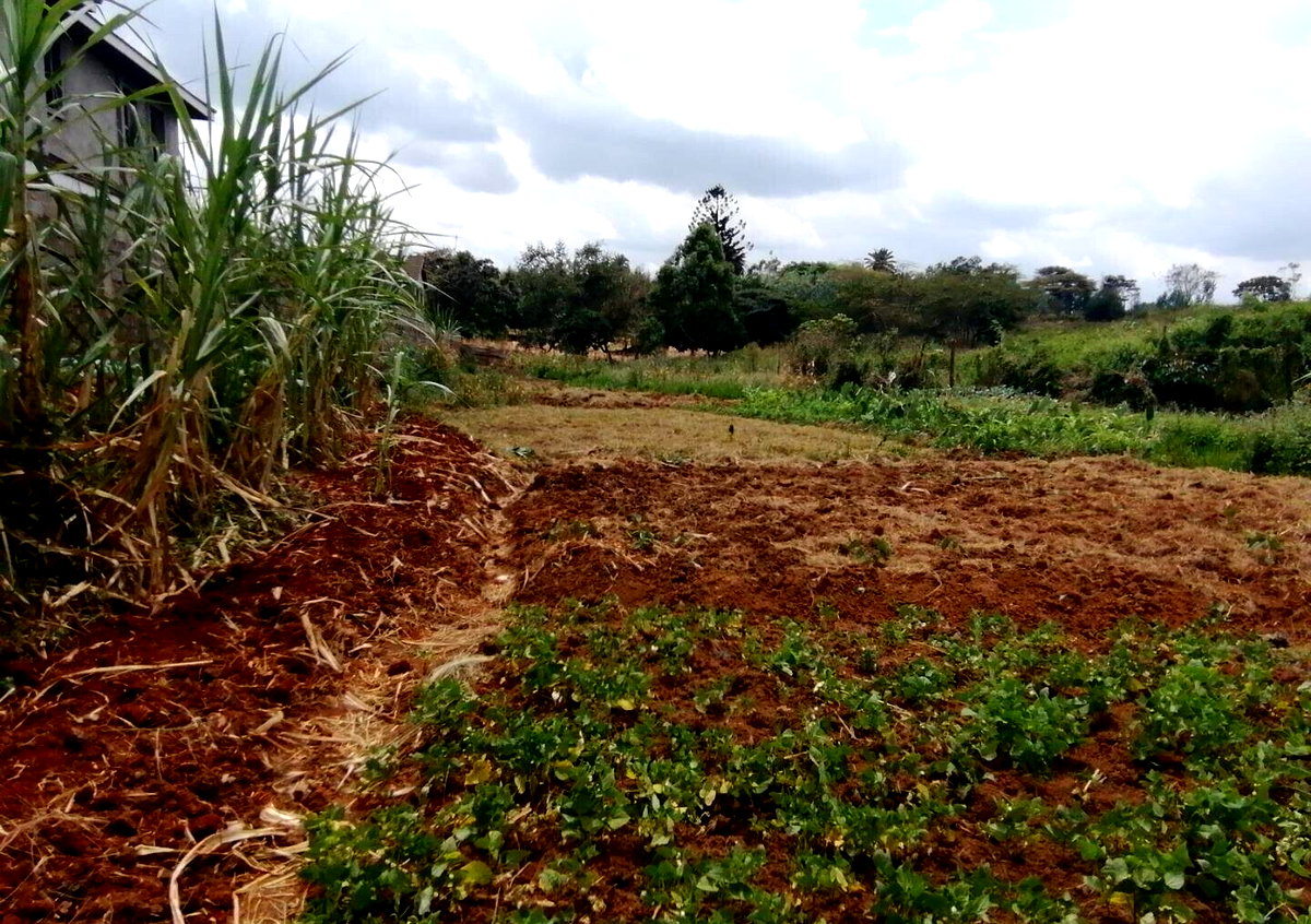 Half Acre Plot in Runda at KSh 60M