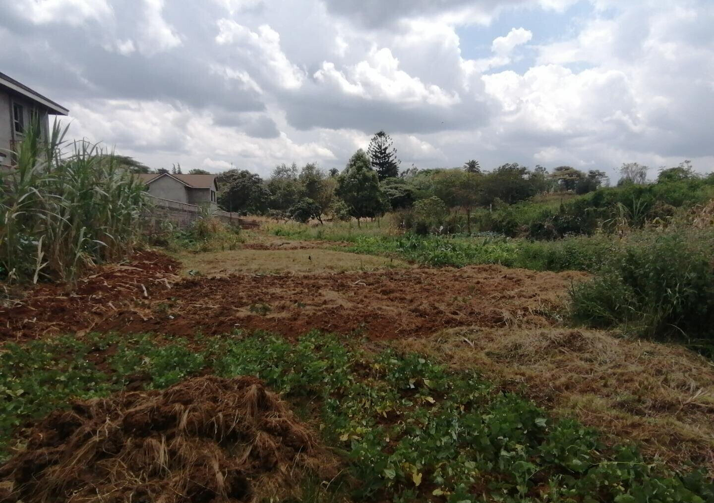 Half Acre Plot in Runda at KSh 60M