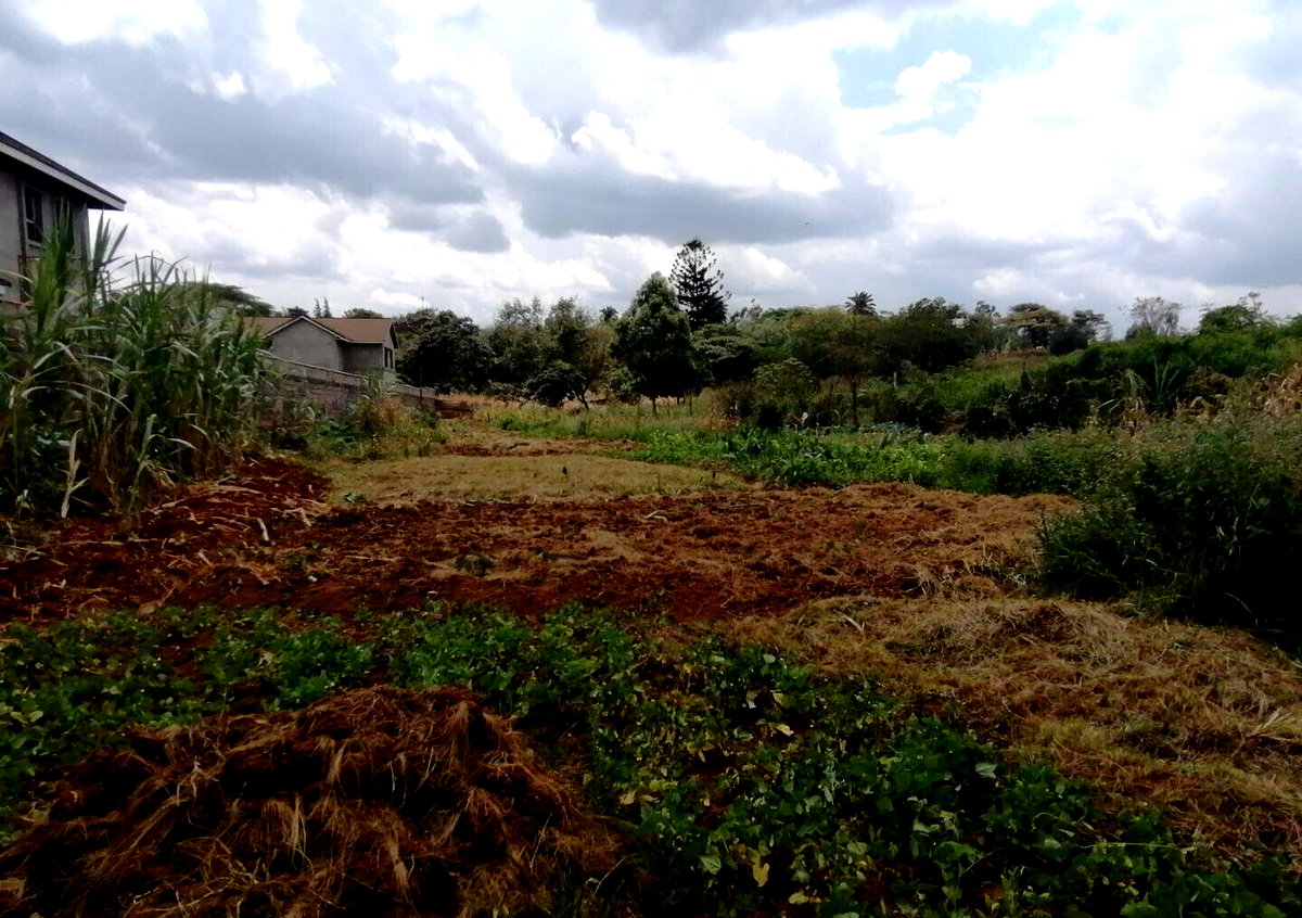 Half Acre Plot in Runda at KSh 60M