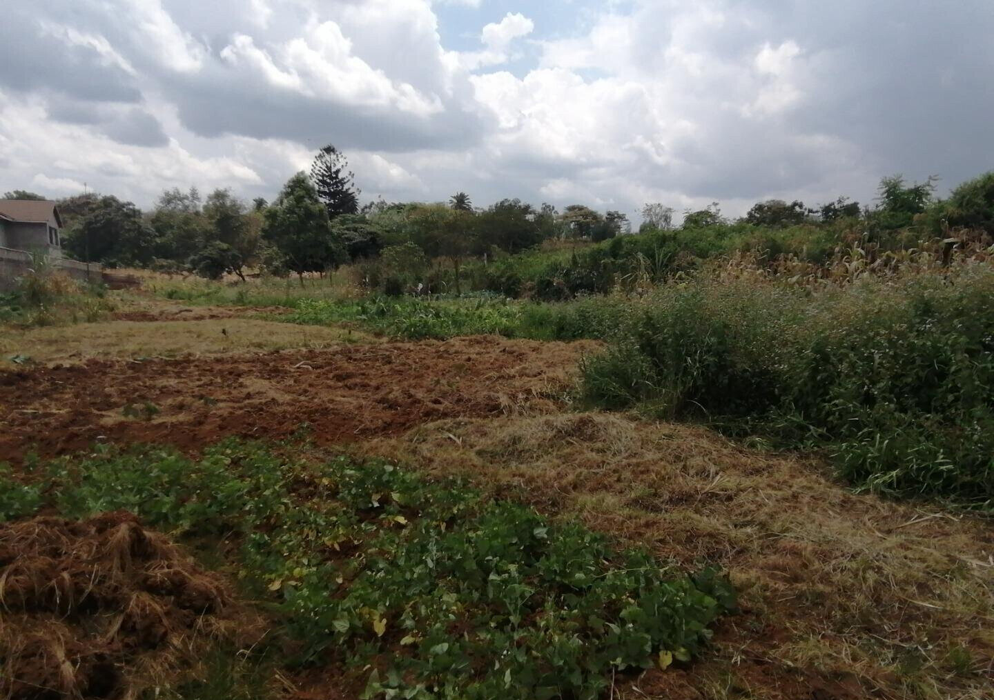 Half Acre Plot in Runda at KSh 60M