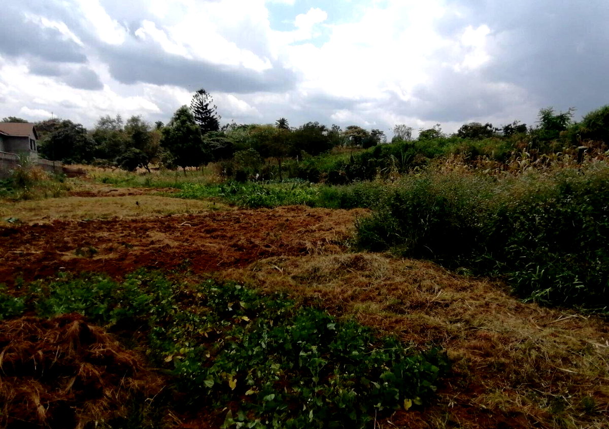 Half Acre Plot in Runda at KSh 60M