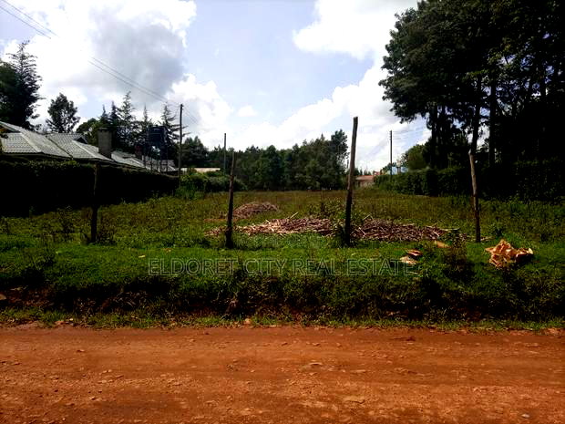 1/2 Acre Blossom With Title