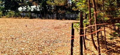 Cheap 1/4 Plot for Sale in Annex Royalton in Eldoret - Image 4