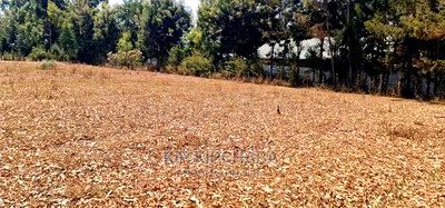 Cheap 1/4 Plot for Sale in Annex Royalton in Eldoret - Image 1