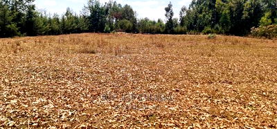 Cheap 1/4 Plot for Sale in Annex Royalton in Eldoret - Image 2