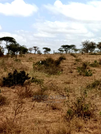 10 Acres for Sale in Kajiado Bisil - Image 13