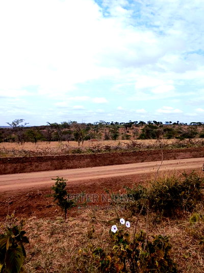 10 Acres for Sale in Kajiado Bisil - Image 3