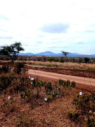 10 Acres for Sale in Kajiado Bisil - Image 1