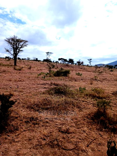 10 Acres for Sale in Kajiado Bisil - Image 8