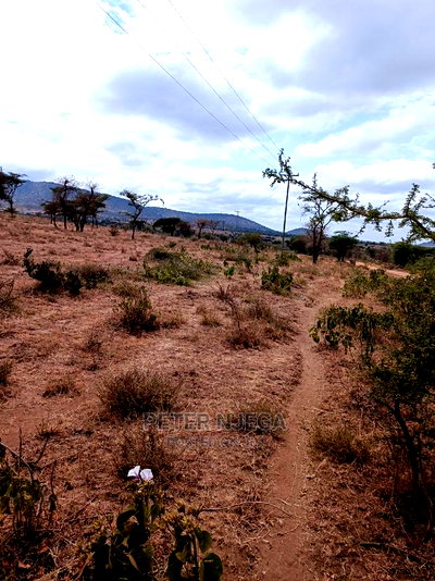 10 Acres for Sale in Kajiado Bisil - Image 11