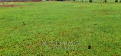 Commercial Plot for Sale Touching Tarmac in Annex Eldoret - Image 3