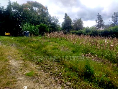 1/4 Acre Matasia - Image 4