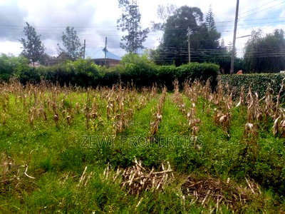 1/4 Acre Matasia - Image 6