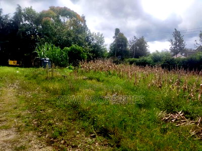 1/4 Acre Matasia - Image 5