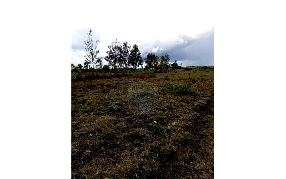 1.3-Acre Land in Kangundo West