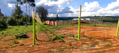 Quick Sale- Prime Plot In Gitutha, Kamangu, Kikuyu Area - Image 7