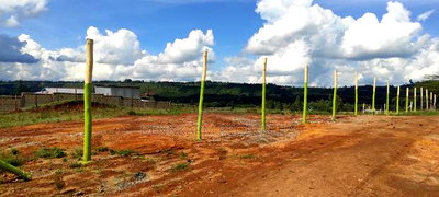 Quick Sale- Prime Plot In Gitutha, Kamangu, Kikuyu Area - Image 6