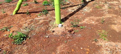 Quick Sale- Prime Plot In Gitutha, Kamangu, Kikuyu Area - Image 3