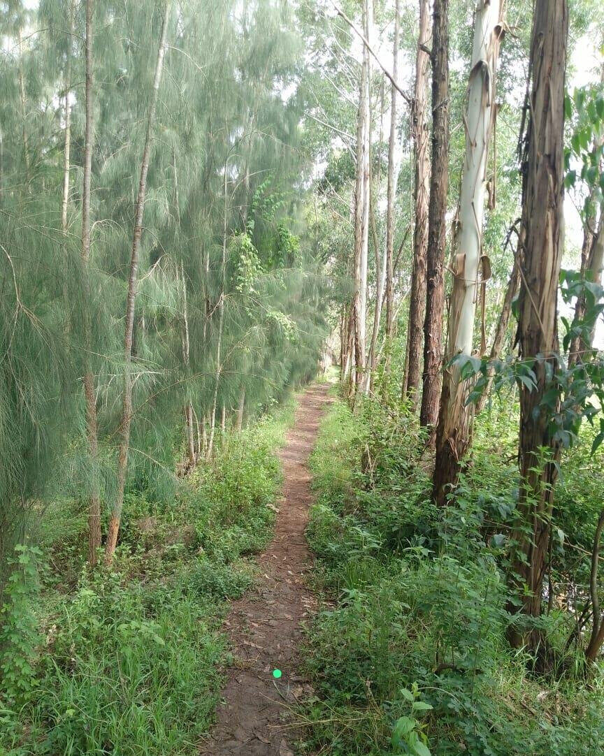 0.6 Acre Plot in Westlands at KSh 300M