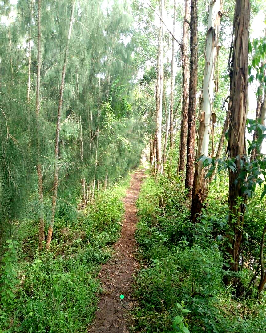 0.6 Acre Plot in Westlands at KSh 300M