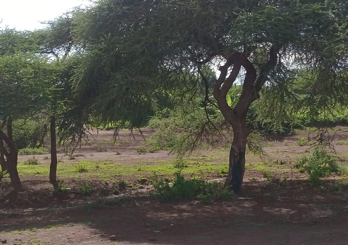 0.6 Acre Plot in Westlands at KSh 300M