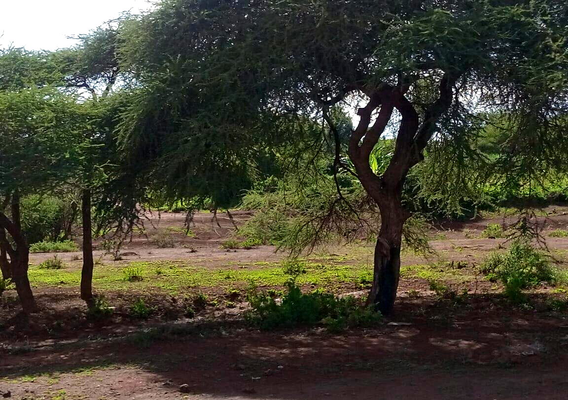 0.6 Acre Plot in Westlands at KSh 300M
