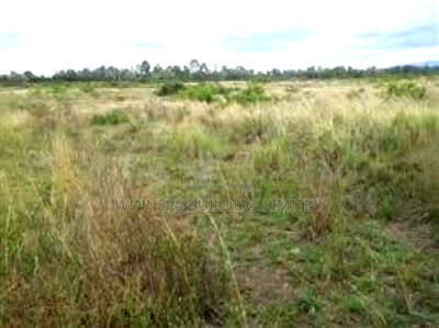50* 80 Plot for Sale at Mwihoko - Image 6
