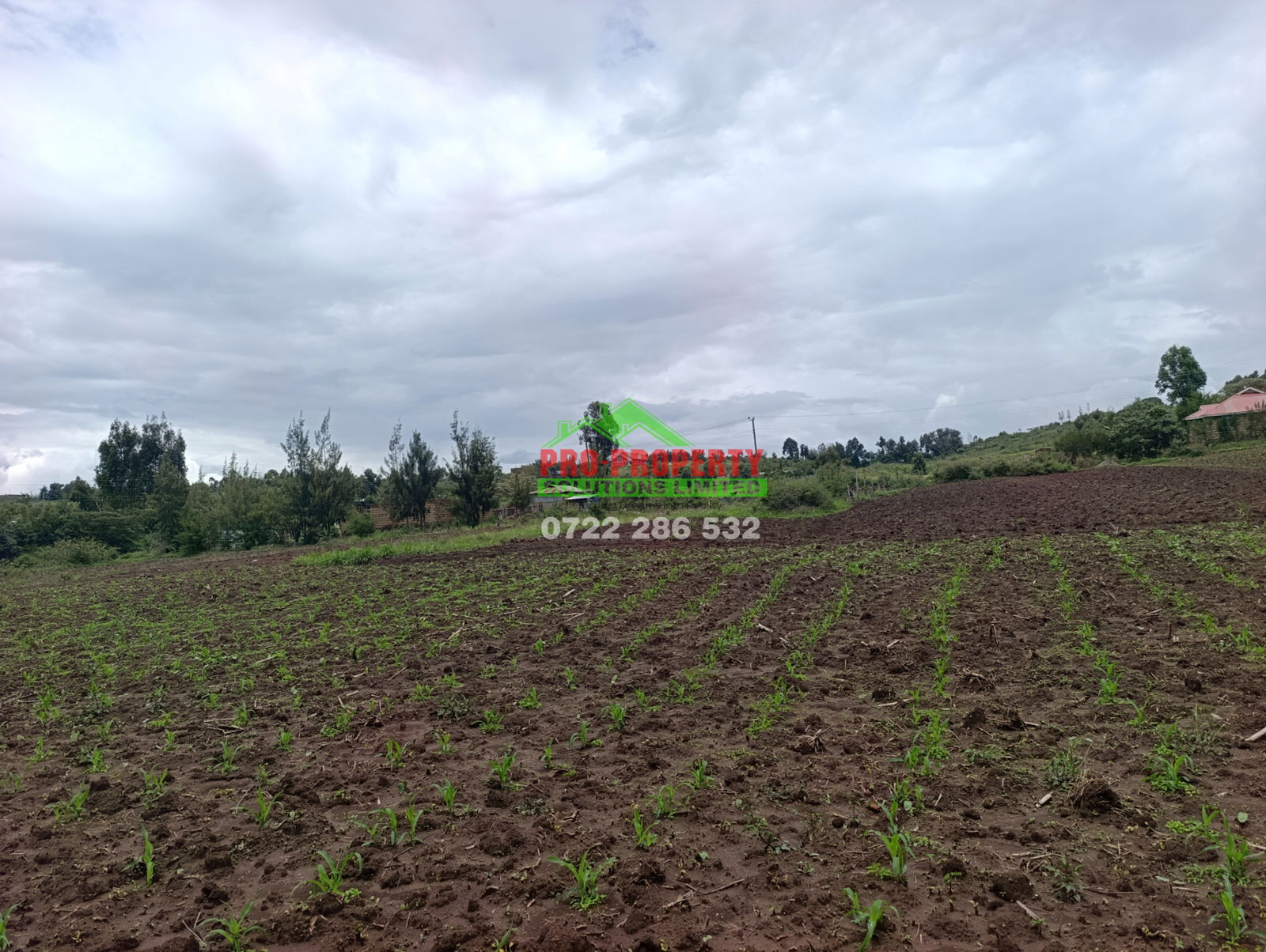 1/8 Acre Plot for Sale in Kikuyu