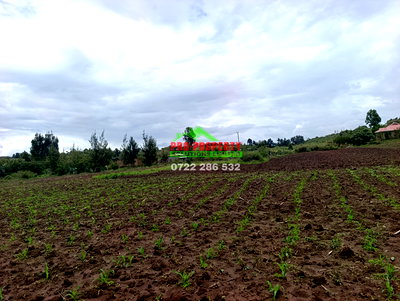 1/8 Acre Plot for Sale in Kikuyu - Image 4