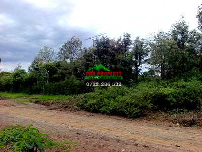 1/8 Acre Plot for Sale in Kikuyu - Image 7