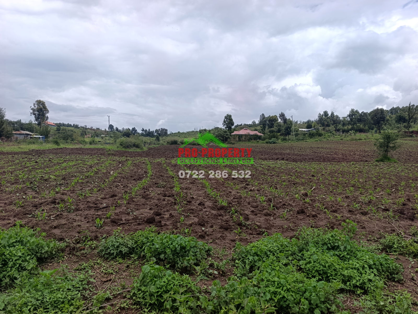 1/8 Acre Plot for Sale in Kikuyu