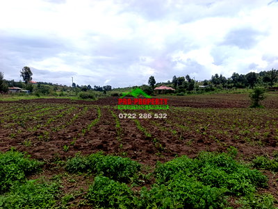 1/8 Acre Plot for Sale in Kikuyu - Image 1