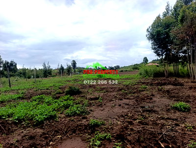 1/8 Acre Plot for Sale in Kikuyu - Image 6