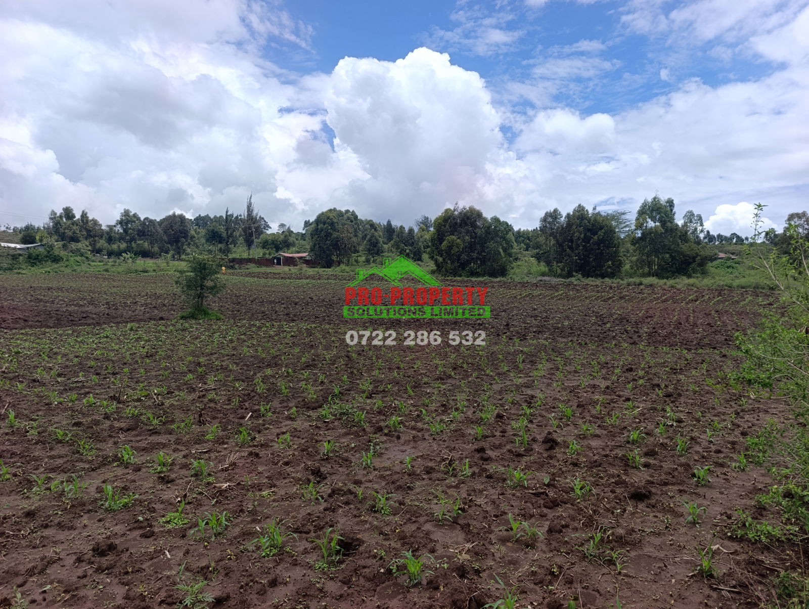 1/8 Acre Plot for Sale in Kikuyu