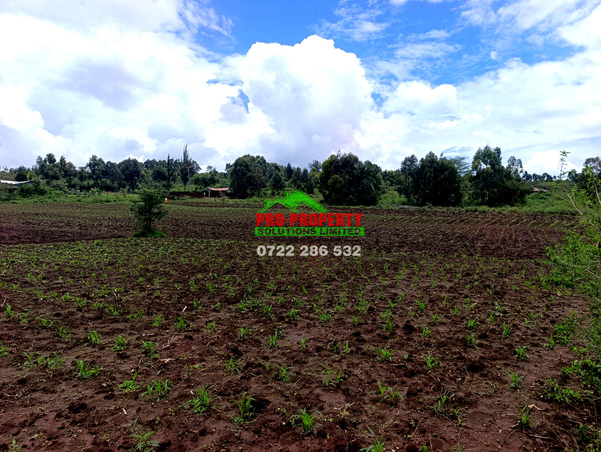 1/8 Acre Plot for Sale in Kikuyu