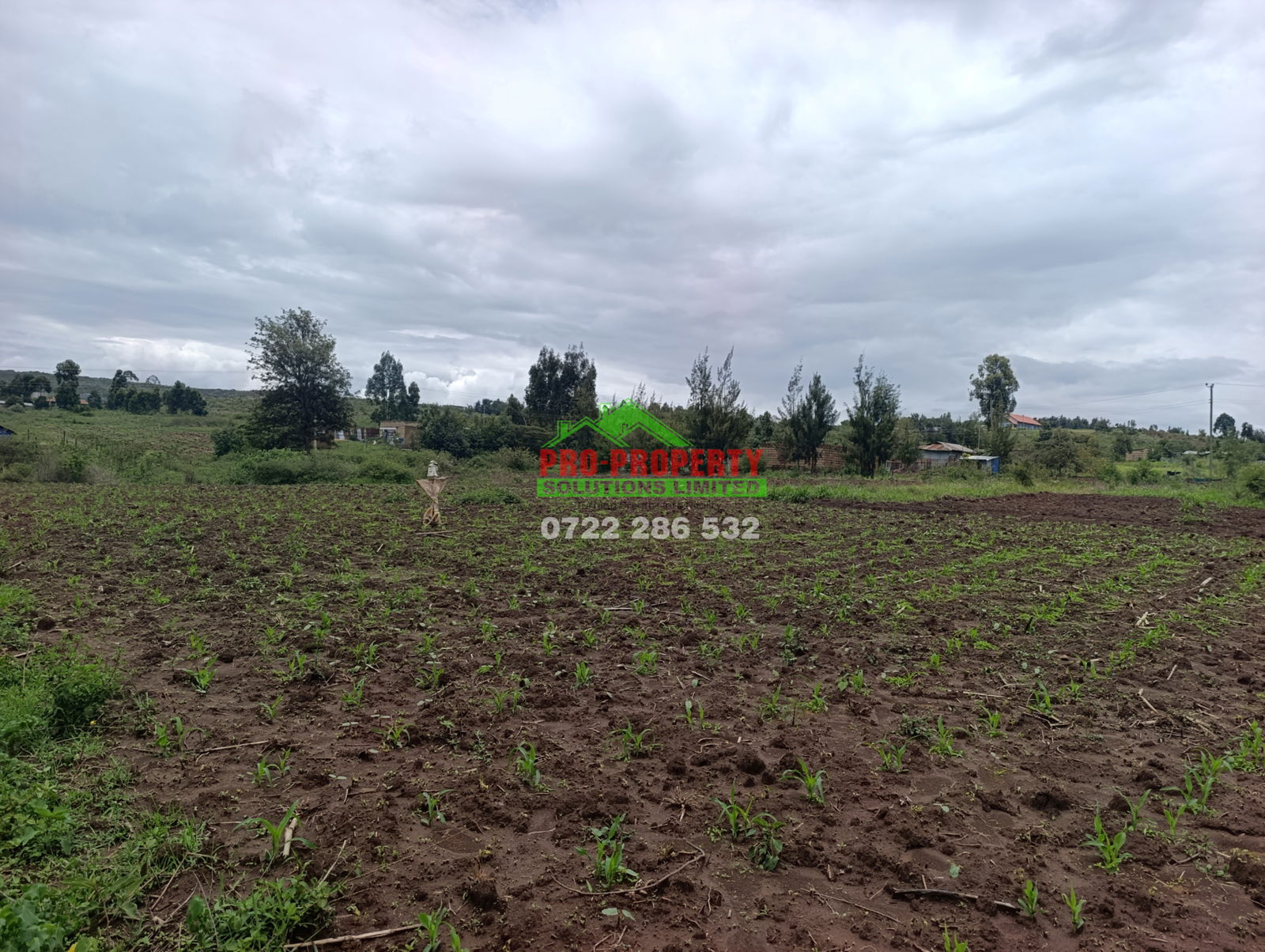 1/8 Acre Plot for Sale in Kikuyu