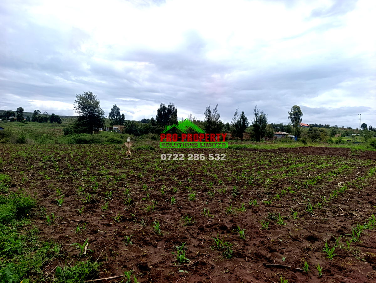 1/8 Acre Plot for Sale in Kikuyu