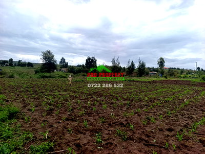 1/8 Acre Plot for Sale in Kikuyu - Image 3